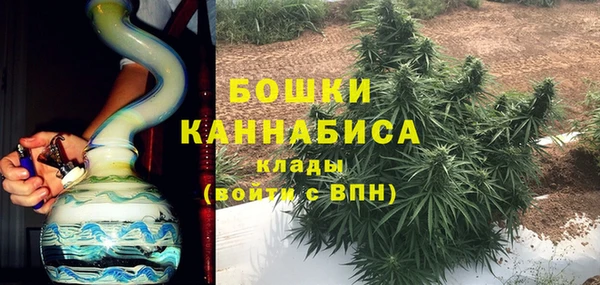 шишки Балабаново