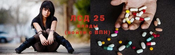 шишки Балабаново