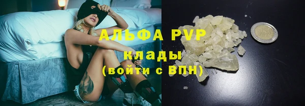 шишки Балабаново