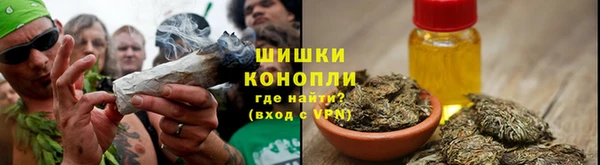 шишки Балабаново
