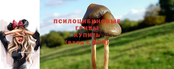 твердый Армянск