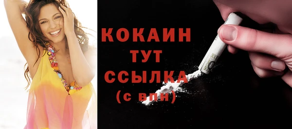 шишки Балабаново