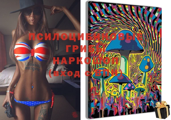 mdpv Баксан