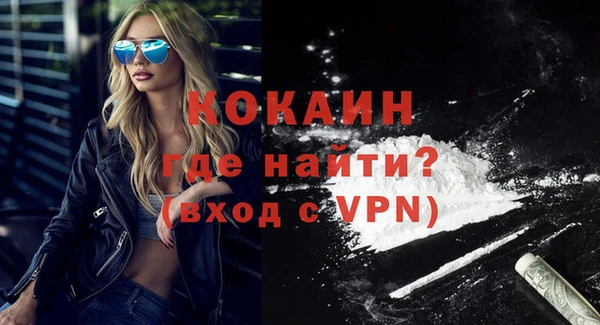 шишки Балабаново